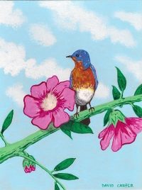 birdflowers1.jpg